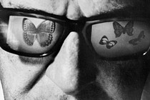 close up of a man's face wearing sunglasses with butterflies