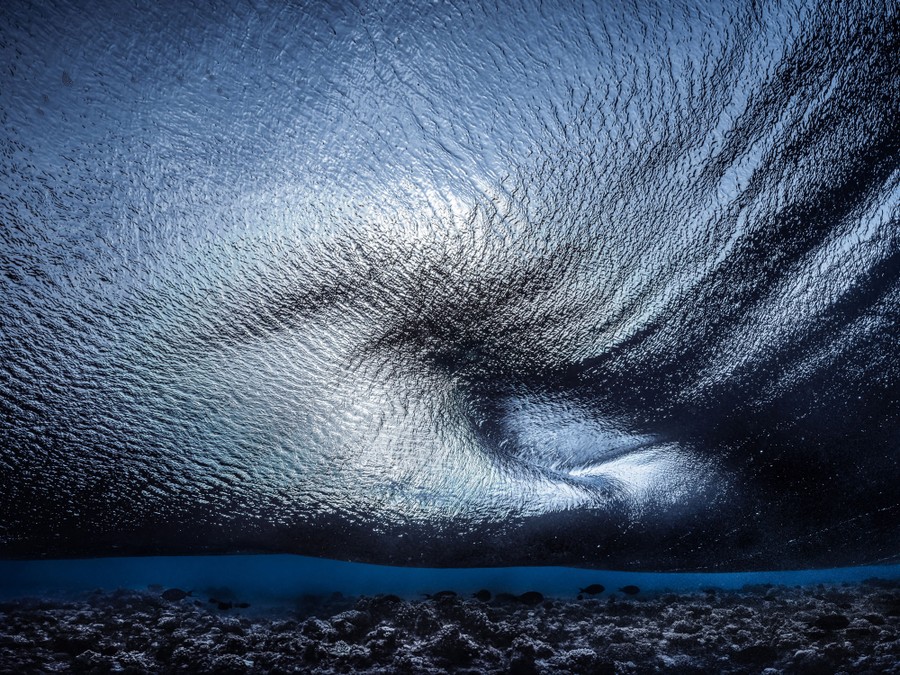 An image of the ocean's surface, seen from underwater, as a wave rolls overhead