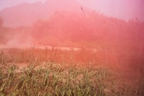 Pink smoke in a field