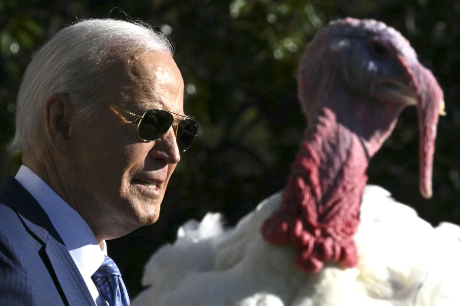President Joe Biden stands beside a turkey during an event at the White House.