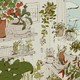 a drawing of an interior filled with plants