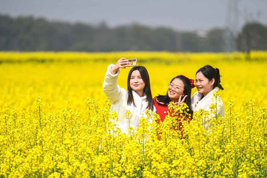 Three women pose for a selfie in a field of tall yellow flowers.