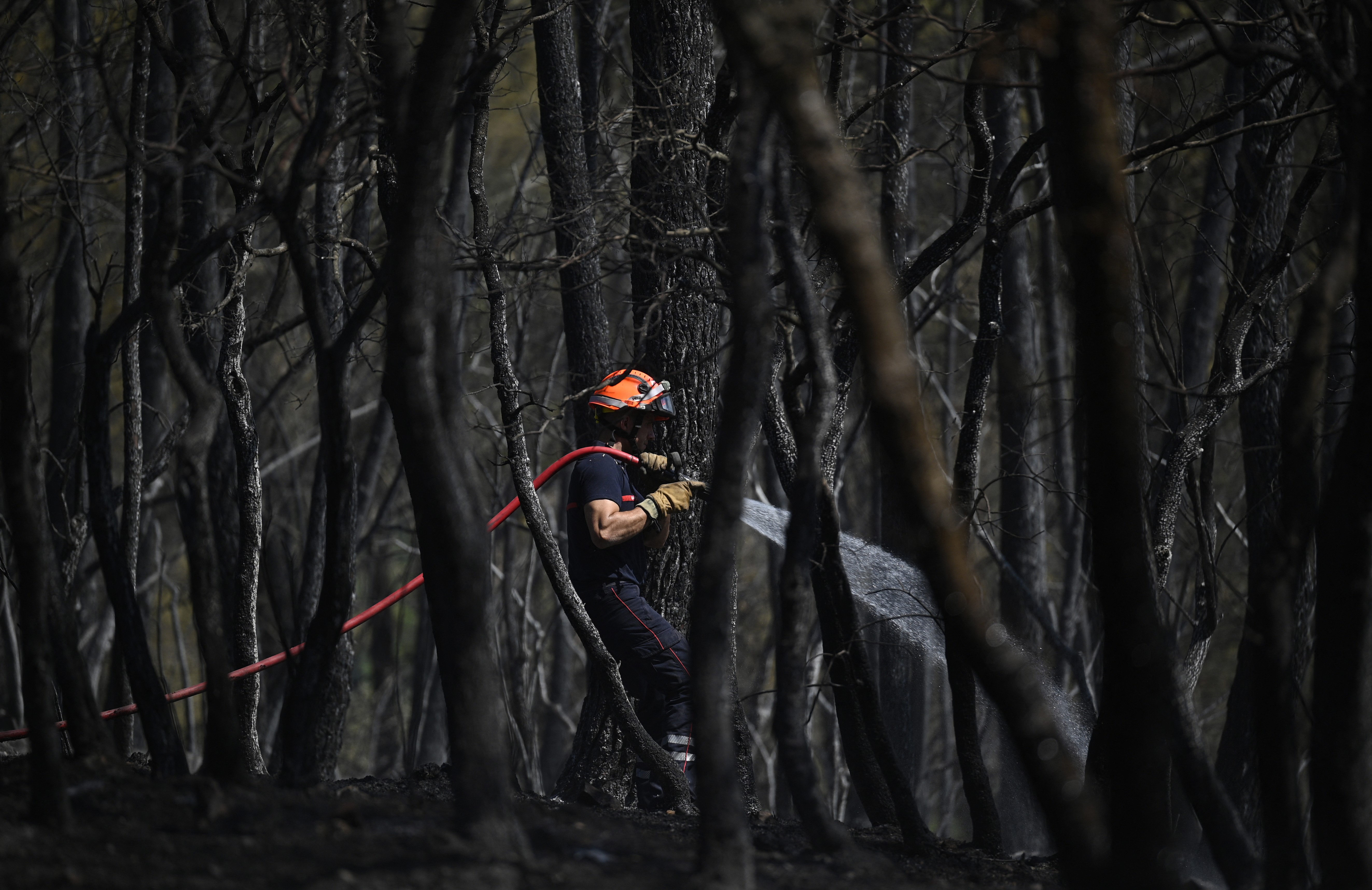 A firefighter sprays water on a scorched field, surrounded by burned trees.