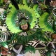 Dancers in elaborate green, yellow, black, and white costumes and makeup perform in a parade.