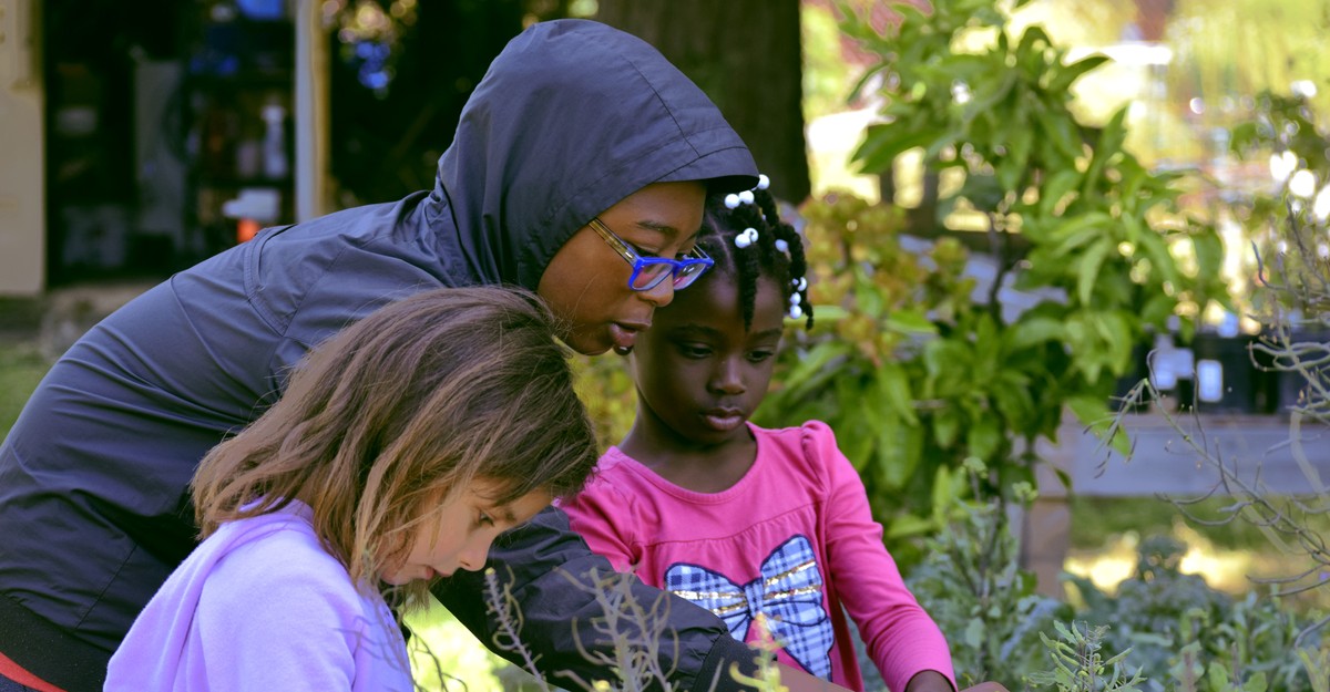 The 2019 Renewal Award Winners Profiles The Atlantic