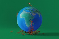 An illustration of a globe centered on Africa, with red ants crawling from the bottom of the image to converge on Kenya