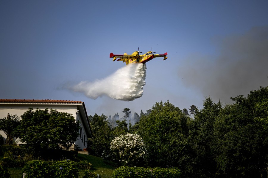 A firefighting plane drops water on a burning forest.