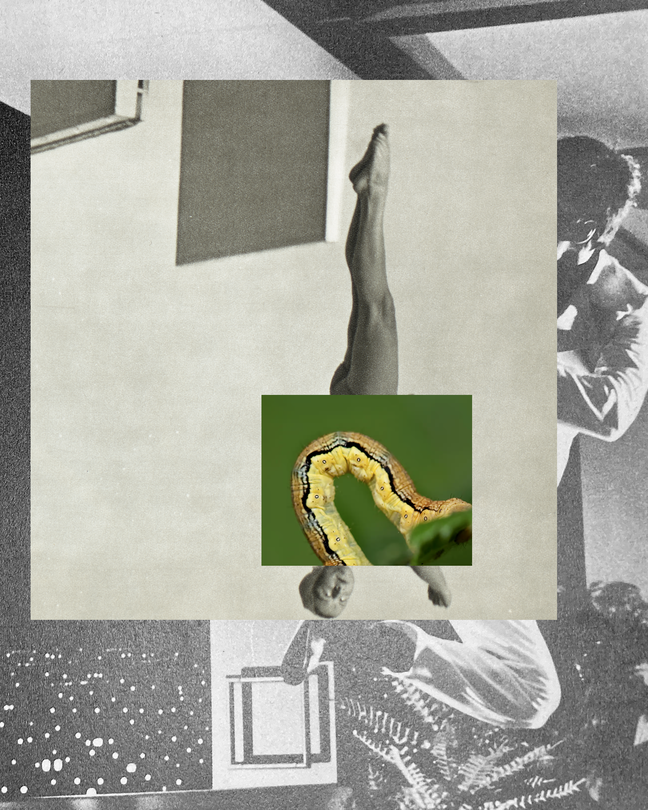 a caterpillar collaged onto a black and white photo of a diver