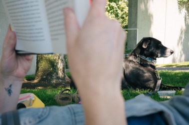 Hands holding a book outside in front of a dog