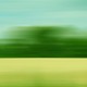 A blurred image of a tree-lined landscape