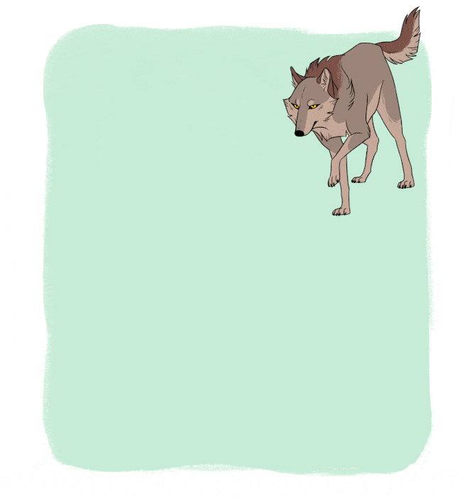 The Origin Of Dogs When Where And How Many Times Were They Domesticated The Atlantic