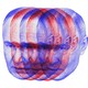 Duplicated images of Vladimir Putin’s face in red and blue