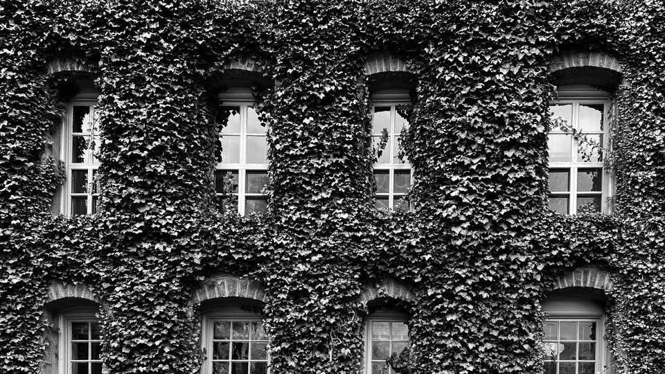 Black and white phot of an ivy-covered wall of windows