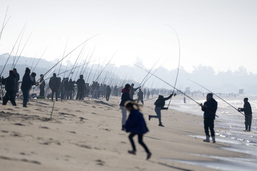 Hundreds of fishermen stand side by side on a long beach, holding poles.