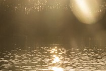 Sunlight glints on a pool of water