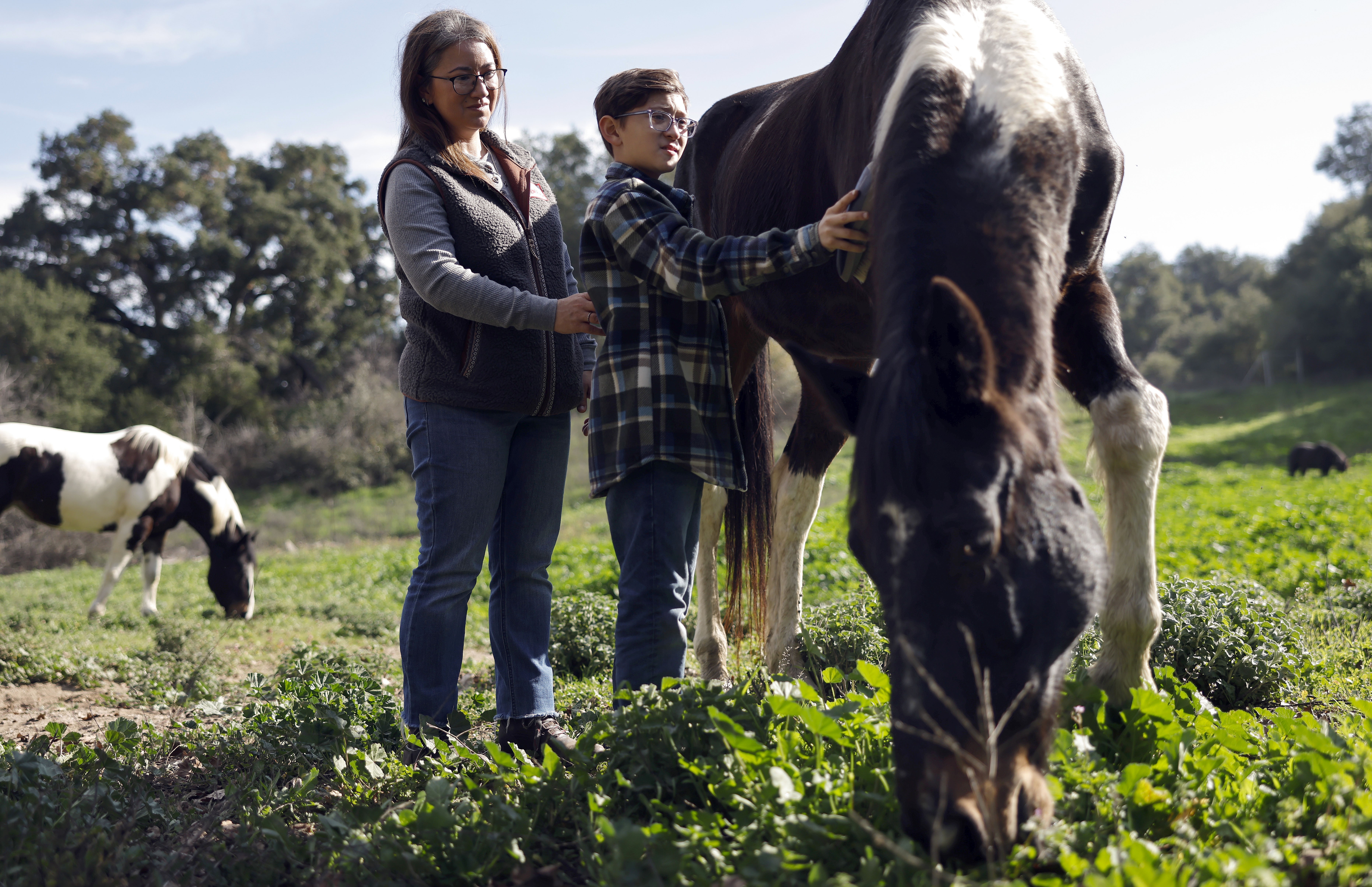 A mother and son stand together beside a horse in a field, petting it.