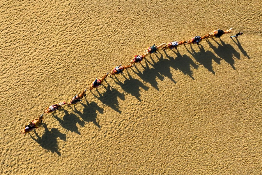 An aerial view of tourists riding camels in a desert