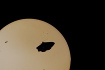 A moth on a light