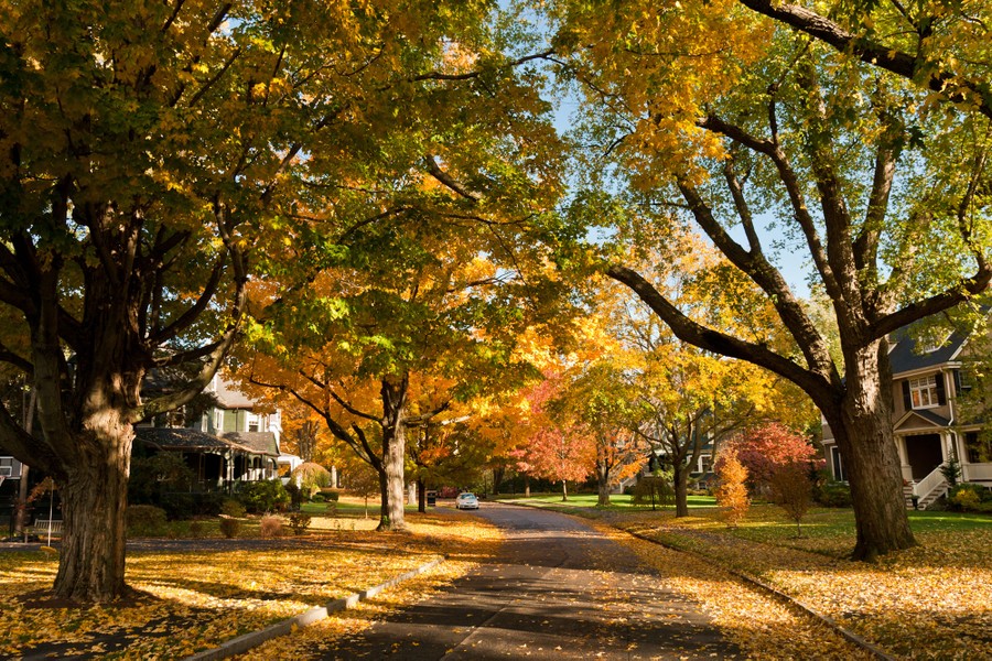 Massachusetts: Images of the Bay State - The Atlantic