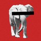 Illustration of an elephant against a red backdrop, with a black censor bar over its eyes