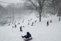 A sea of children sleds down a snowy hill.