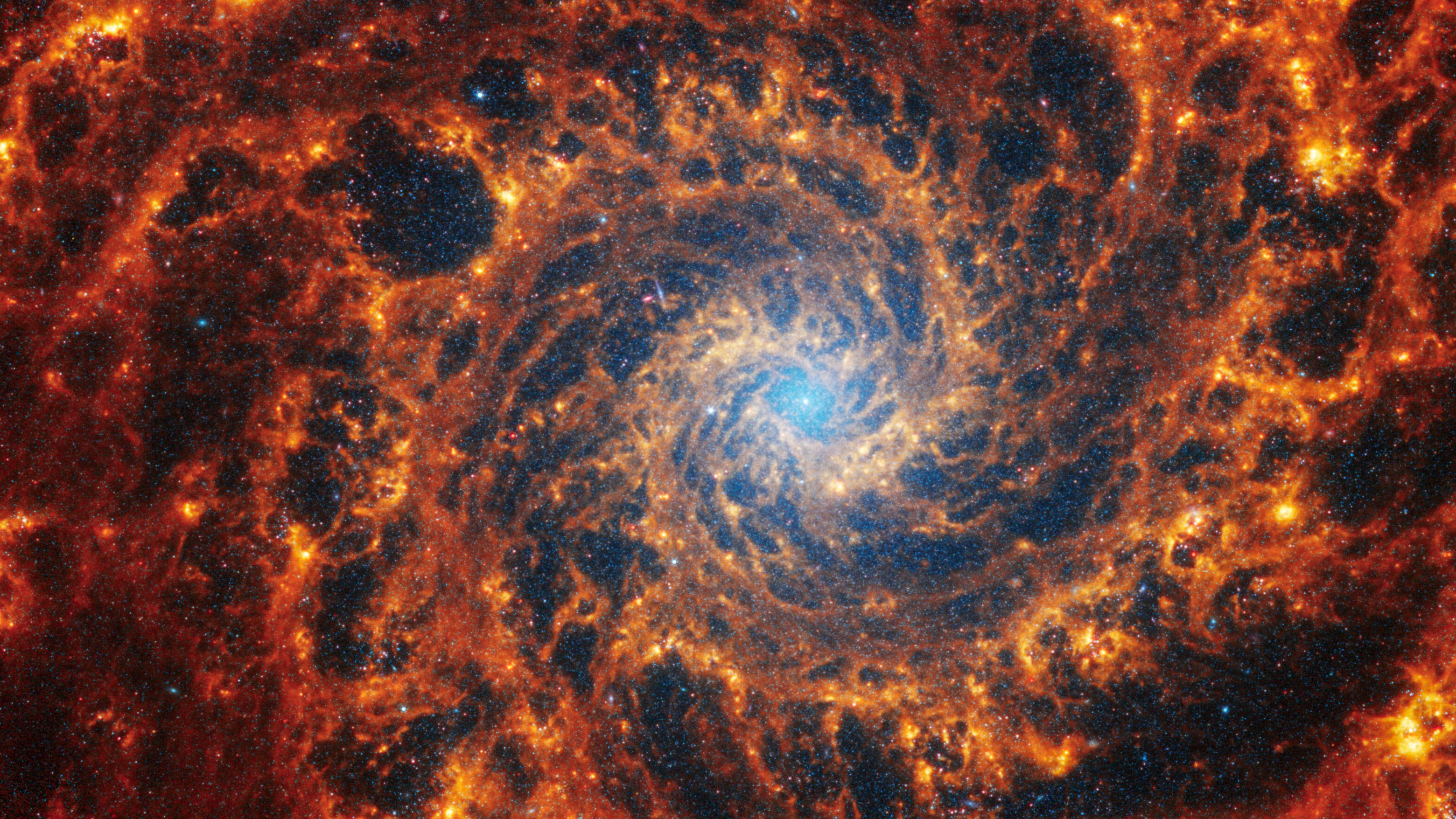 A New View of a Distant Spiral