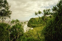 photo of lush green landscape with trees surrounding view of cliff and ocean inlet, with gray clouded sky