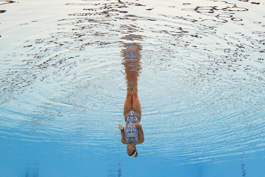 Scenes From the 2017 World Aquatics Championships The Atlantic