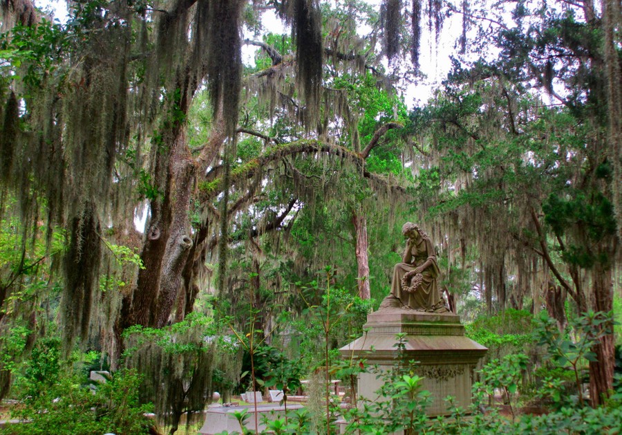 Images of the Peach State The Atlantic