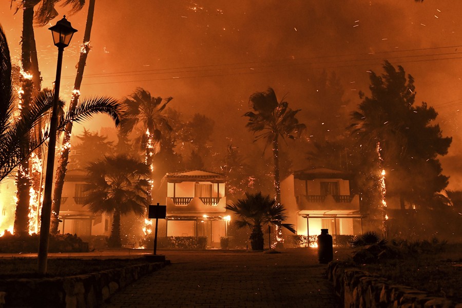 Fires burn palm trees and houses on a residential street.