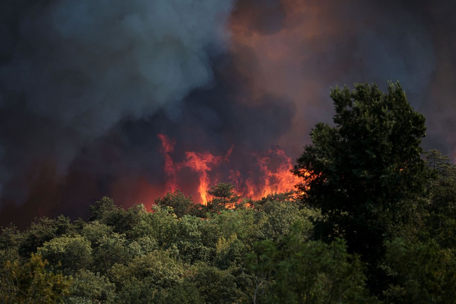 Flames and smoke rise above a forest.