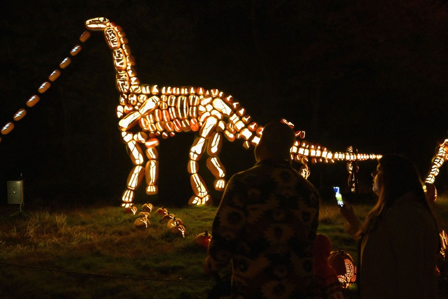 Carved Jack O'Lanterns are stacked to resemble a long-necked dinosaur.