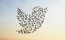 A photo-illustration of birds flying in the shape of the Twitter logo
