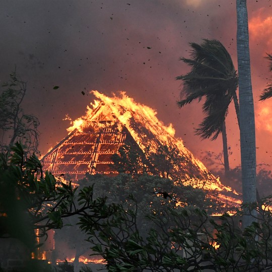 Hawaii's Nostalgia Is the Key to Rebuilding - The Atlantic