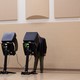 Voters cast their ballots at a polling location
