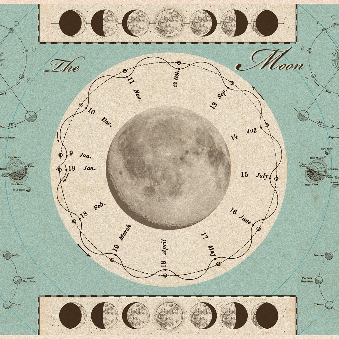 The Moon Made Us Human - The Atlantic