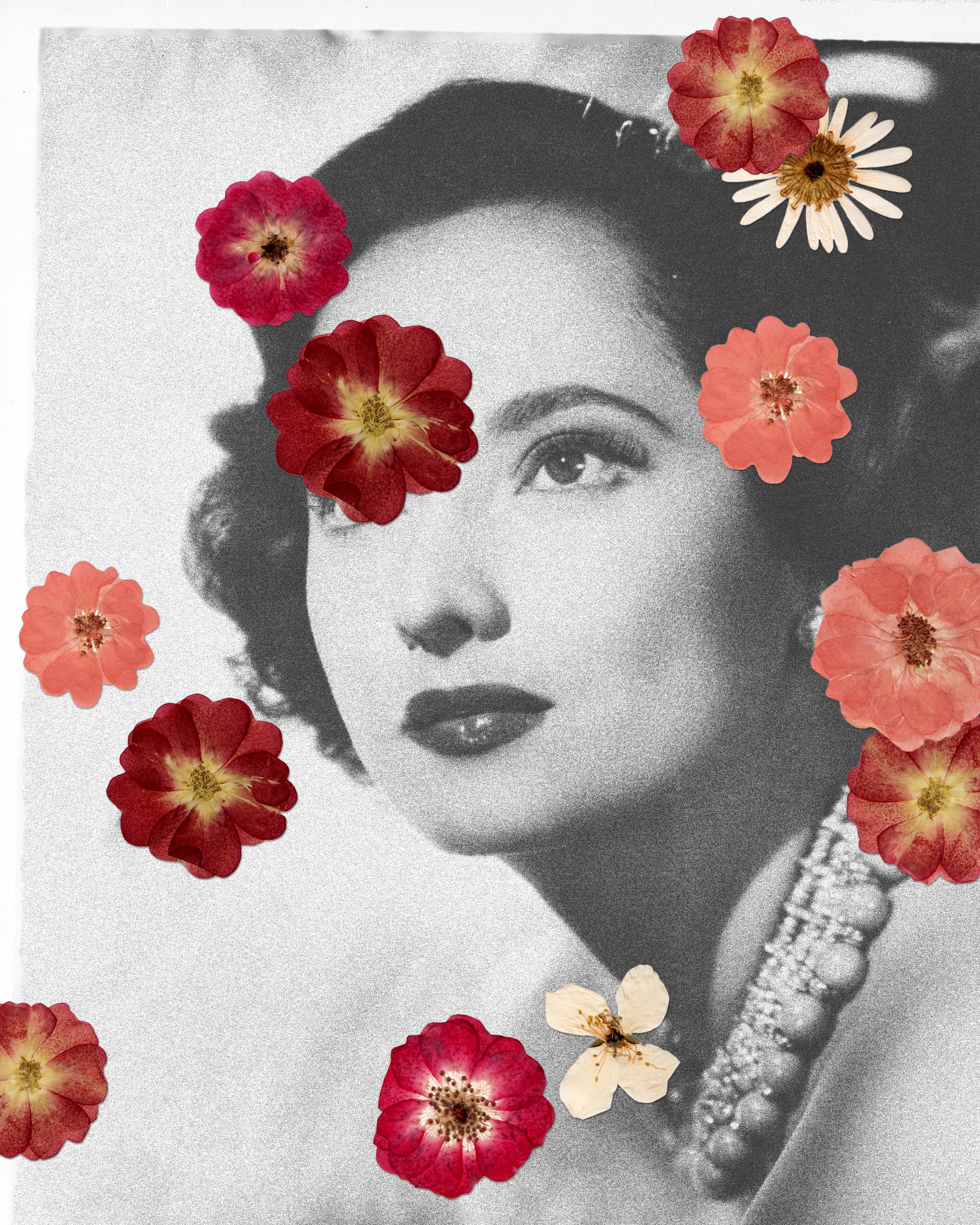 25-2-26-Sen-Merle-Oberon-Oscar-Pioneer-final.jpg
