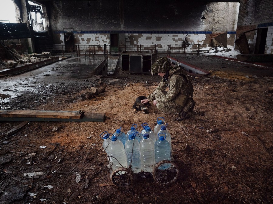 A soldier pets a dog in an abandoned building, beside a tiny cart filled with water bottles.