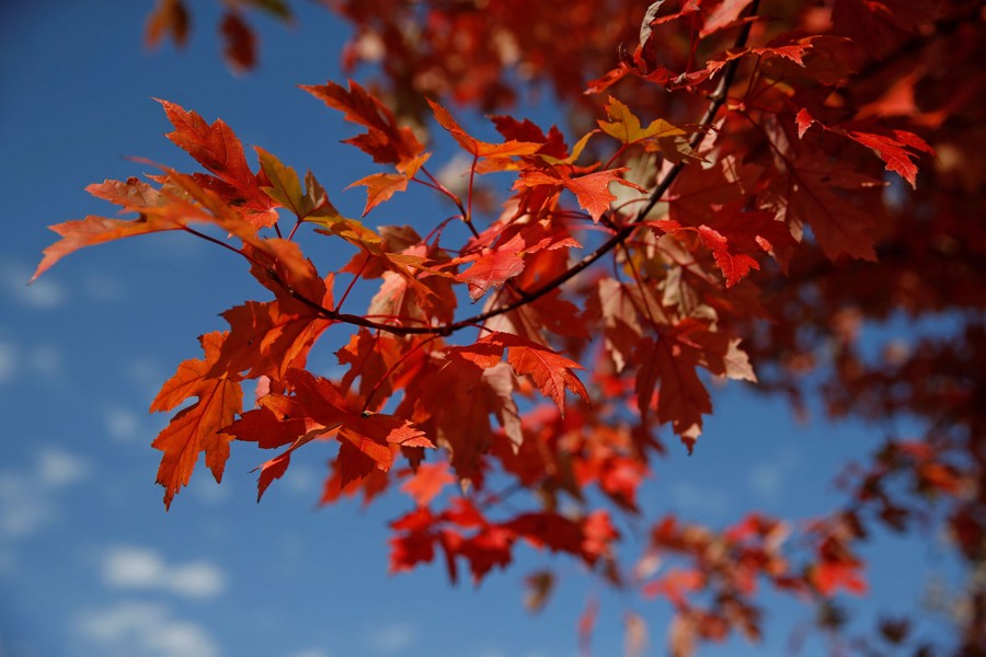 Fall is in the air
