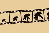 film strip showing silhouette of apes growing larger