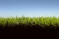 Grass and soil