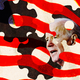 Joe Biden, cogs, and an American flag