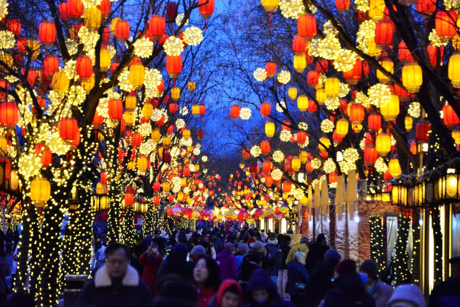 People walk on a path among many small trees filled with colorful illuminated lanterns.