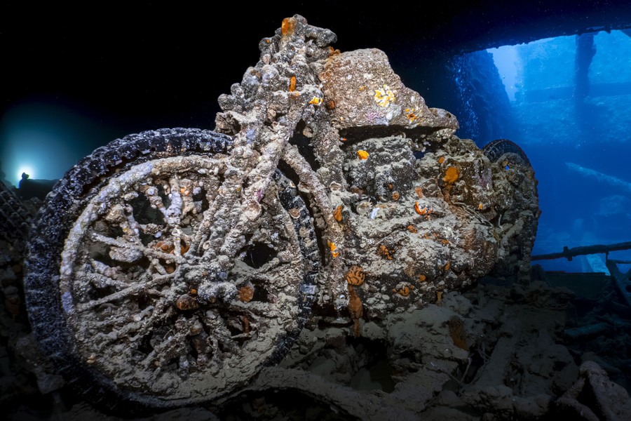An underwater shot of an old and encrusted motorcycle, photographed in the wreck of a sunken ship.