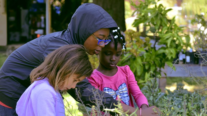 Two children and an adult look at plants