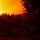 Three people stand outdoors in dim lighting as an orange glow from a forest fire fills the sky above a hedge of trees.