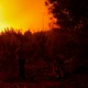 Three people stand outdoors in dim lighting as an orange glow from a forest fire fills the sky above a hedge of trees.