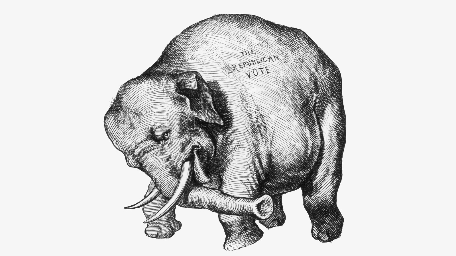 black and white republican elephant