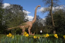 A man views an animatronic life-size dinosaur at Osterley Park in west London, in March 2017.
