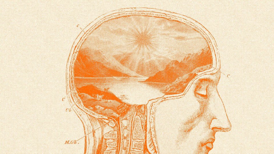 human skull with image as brain